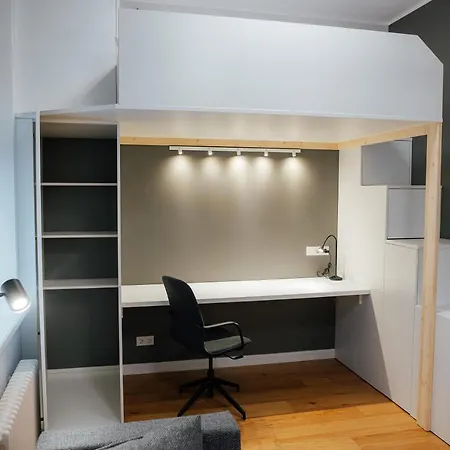 Quiet Loft Studio Apartment With Ac Top Location New Riga Esterno foto